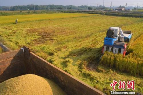 �c(di��n)���M(j��n)����һ�(y��)