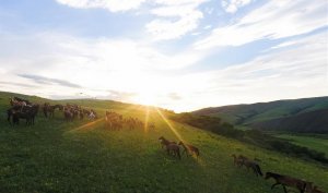 �o(j��)��ĸ��_(k��i)��40���꣺�������Q(m��o)�M��׌�Ї�(gu��)�c���猍(sh��)�F(xi��n)���A