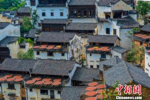 �c���M����һ�