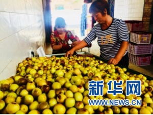 �������S�� ��(r��n)�����ء����S�^��·�_(k��i)�����¸����T�� �ؾ��������