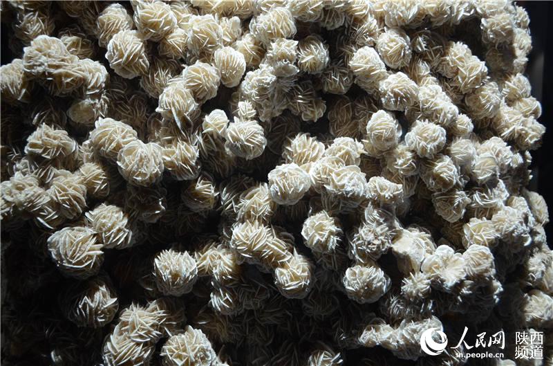 �Ǳ����vʷ���� ������+�a(ch��n)�I(y��)���ںϰl(f��)չ����ȫ�����ν��O(sh��)��3��