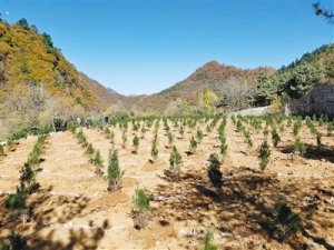 �������(d��ng)�؎X��´���B(t��i)���o(h��)�t�����綨��(bi��o)ԇ�c(di��n)����