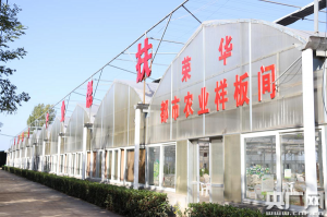 �����I��I(y��)���ķ�ؚһֱ��·��