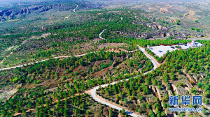 ����֘I(y��)��ץ�����@��Ч ���������Ї����O(sh��)