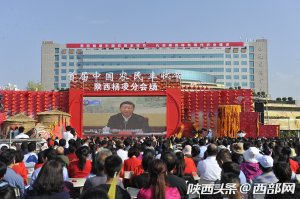 �׌��Ї��r(n��ng)���S�չ�(ji��)�������֕�������e�� �r(n��ng)�I(y��)�Ƽ������c