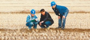 ���W(w��ng)����������(w��)�����r(n��ng)�������������l(f��)չӛ��