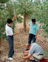 ����������ϵ�S��ʸ־��(b��o)��