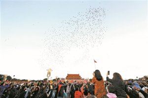 ���܊�״·��c��(ji��)�찲�T���� ��14�f�ˬF(xi��n)���^��