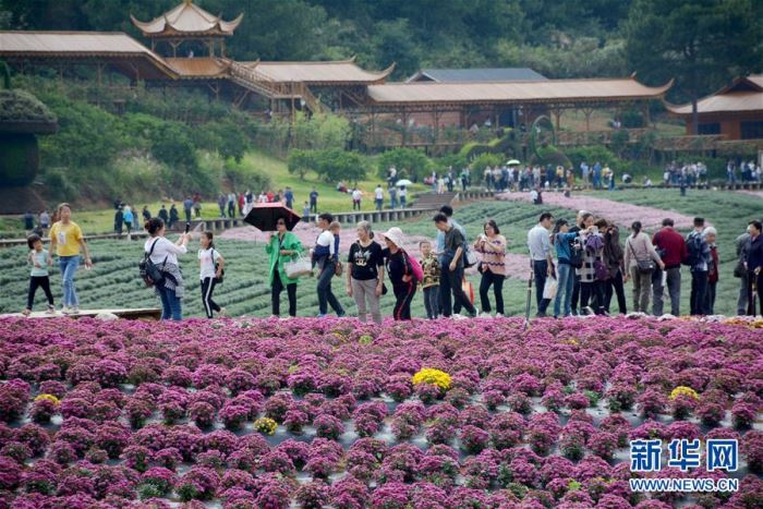 #���������2�����c����ǰ4��ȫ���Ӵ�����(n��i)�ο�5.02�|�˴�