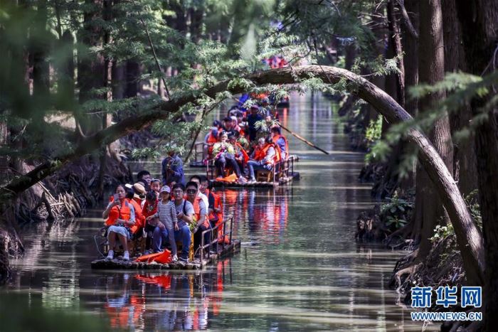 #���������3�����c����ǰ4��ȫ���Ӵ�����(n��i)�ο�5.02�|�˴�