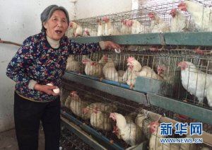 ��Ů���h��