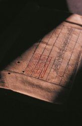 �ż��ղ؃�����