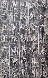 �����ڌ�Ғ�潛(j��ng)������W(xu��)�õ�����