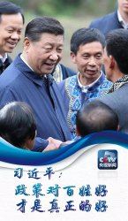 �P(gu��n)��Óؚ��С������(x��)��ƽ�@Щů��Ԓ�o��������