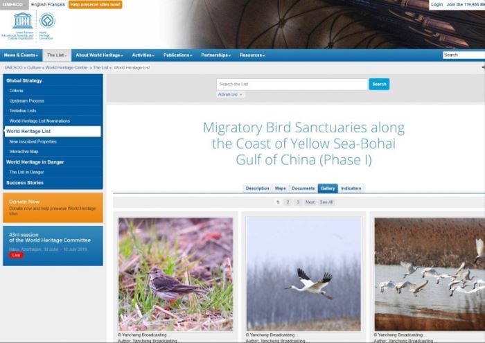 ���Ї���Щ�����Ї��ɵ��p�p���z�ɹ� �����z�a(ch��n)����(sh��)�����һ