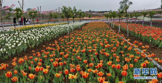 �������Ї�����1��������ϣ��\�C���������