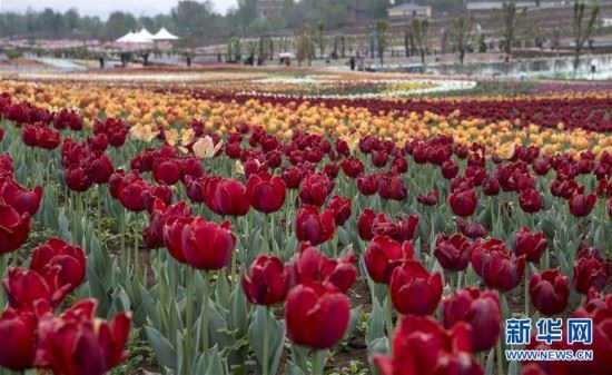 �������Ї�����6��������ϣ��\�C���������