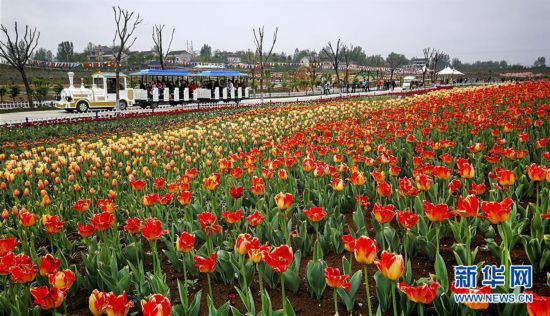 �������Ї�����5��������ϣ��\�C���������