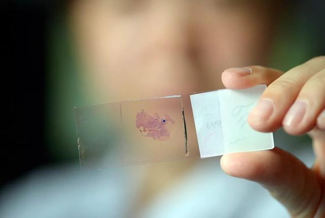 �°����_(k��i)�����@Щ��Ҏ(gu��)��Ӱ���������