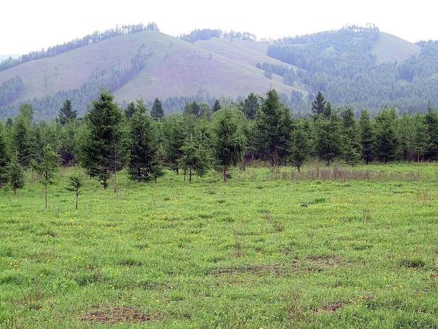 �°����_(k��i)�����@Щ��Ҏ(gu��)��Ӱ���������