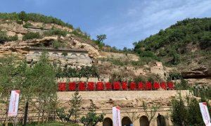 2019���Ļ�����Ȼ�z�a(ch��n)������(ch��ng)���л��(d��ng)������Ӱ��e��