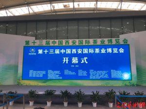 ��ʮ�����Ї�(gu��)������(gu��)�H��I(y��)���[��(hu��)�������_Ļ