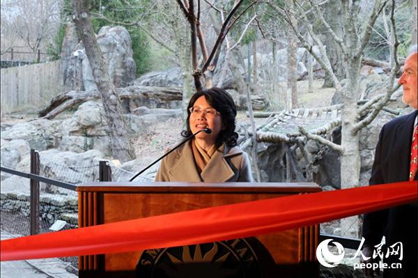 �Ї��v������ʹ�^��ʹ��W(xu��)�Y�ڻ�������o���zӰ����ʯ