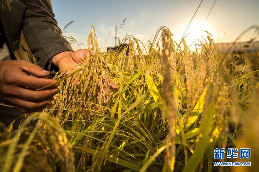 �����Aȫý�^�l���D�Ļ���(d��ng)����5������ͬ���ٳ��l(f��)������(x��)��ƽ����ӛͬ��ϯ2019��ȫ��(gu��)�ɕ�(hu��)�˴���������f(xi��)ί�T���̇�(gu��)�Ǽo(j��)��(sh��)