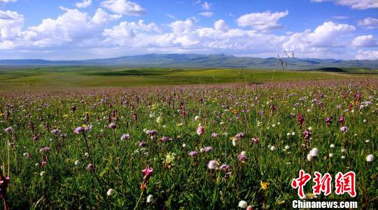 �D�����յĸ��ϲ�ԭ��(�Y�ψD) ���� �z