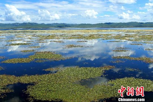 �D����ϲ�ԭ��ء�(�Y�ψD) ���� �z