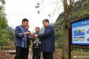 ����ƽ���ؑc�����{��