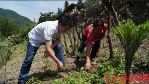 ������޿hħ���g(sh��)ָ��(d��o)�����g���^