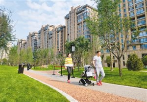 ���������ƏV�����������조15��犱������eȦ��