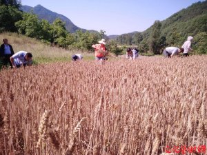 ������Ͽh�Ƽ��ͽ����w�����v���ؚ�����(du��)����ؚ����������