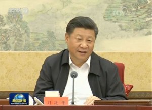 ����ƽ��������