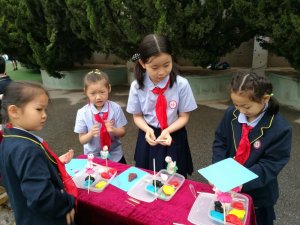 �����^(q��)�e��2019���҂��Ĺ�(ji��)��•���硱���}ʾ�����