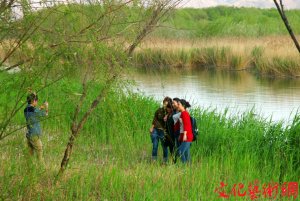 ��ꖣ������B(t��i)�����y(t��ng)�I(l��ng)���l(xi��ng)һ�w���l(f��)չ