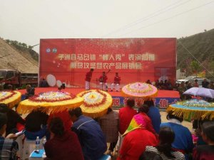 ����������������������޿h�r(n��ng)�a(ch��n)Ʒ�R��չ�N��