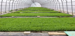 ���Ͽh���S�(zh��n)���СС����䁾�Óؚ·