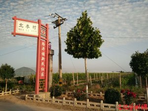 ���·���(zh��n):׌�l(xi��ng)��ɞ骚����ɫ���L(f��ng)����