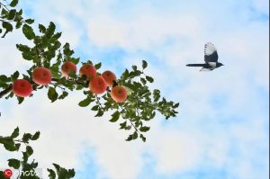 �@�����Ӱ���