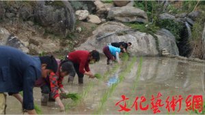 ���ޣ��������������όmɽ�´���æ