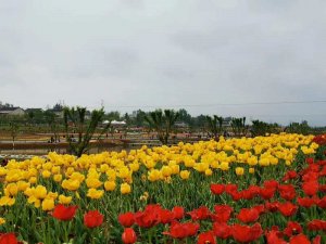 ��������\�C������ξ��^(q��)�_�@��