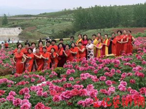 �h����hĵ���@ӭ����h������������