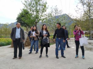 ��(gu��)�����c(di��n)�аl(f��)Ӌ(j��)���(xi��ng)Ŀ��������Ͽh�����(zh��n)չ�_(k��i)�״��{(di��o)��