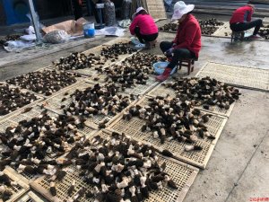 �h�Нh�_(t��i)�^(q��)�ڠI�(zh��n)��ʮ��䁴壺�Nֲ��Ǿ���ߵ�_�¸��T