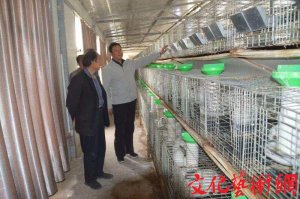 ����������������������(y��ng)�䵽���ϱ����(zh��n)���f��ָ��(d��o)���îa(ch��n)�I(y��)�l(f��)չ