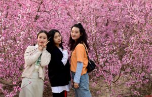 ���������n�ǽӴ��οͽ����f�˴� ���ξC������3.2���|Ԫ