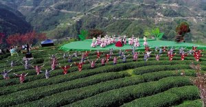 ���23�f��������@ʢ���_�@