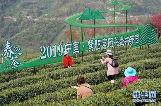 ���������6�������ꖣ����ղ�ɽӭ�́�